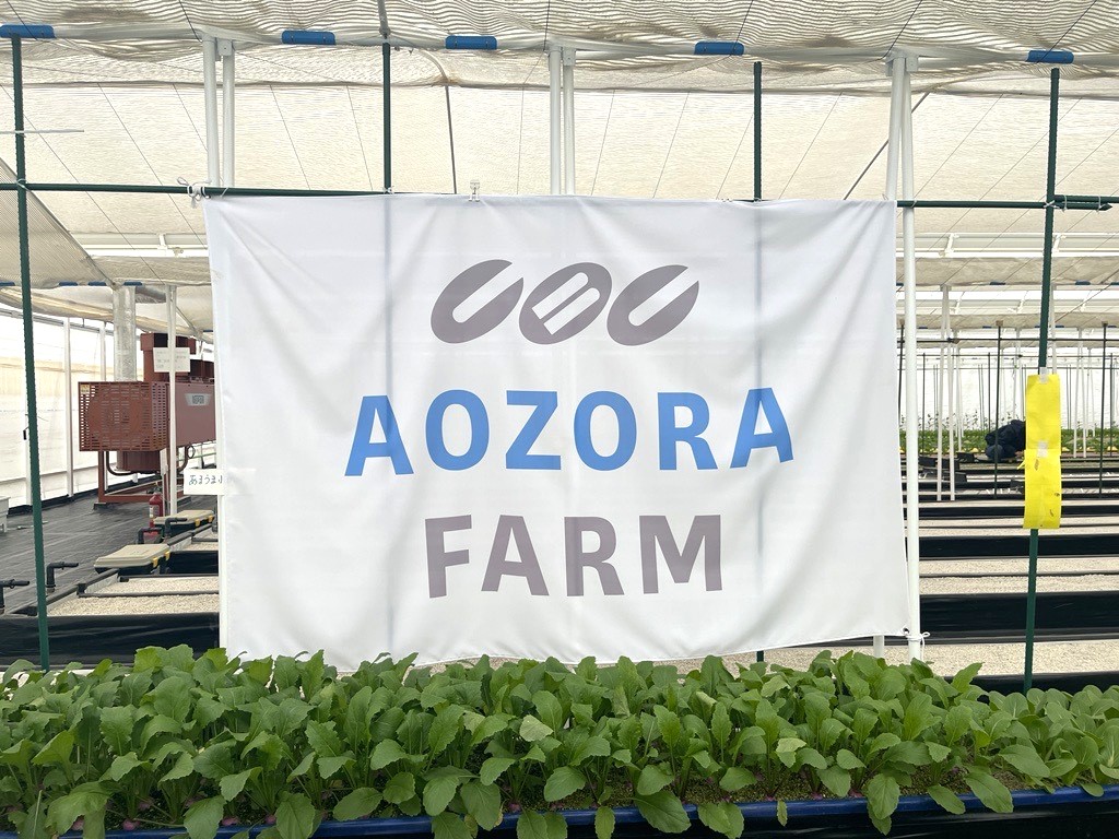 the journey of the “CBC AOZORA FARM” from its launch to the first harvest and the Vegetable Marché.